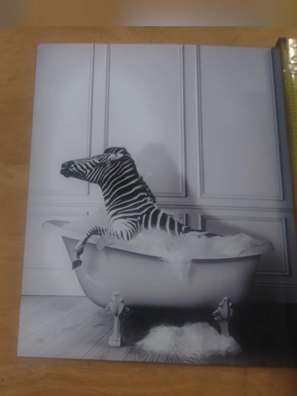 Zebra Bathtub Wall Art Print | Modern Bathroom Decor | Fashion Animal Photograph